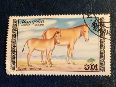 Лот: 24958286. Фото: 1. - Марки для Вашей коллекции. лот... Марки