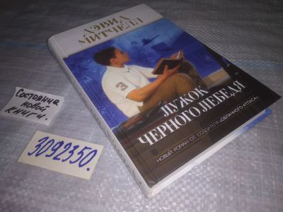 Лот: 23976864. Фото: 1. oz меш. (3092350) Лужок Черного... Художественная