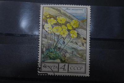 Лот: 3961930. Фото: 1. марка 54 СССР 1975 мак полярный... Марки
