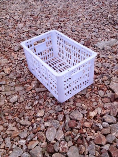 Лот: 4255788. Фото: 1. Ящик пластиковый для овощей. Белый... Другое (для дачи, дома, огорода, бани, парка)