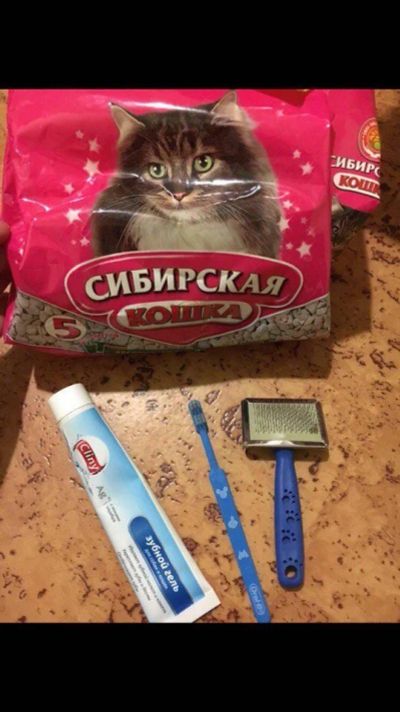 Лот: 11485447. Фото: 1. все для кошки или кота целый пакет... Другое (растения и животные)