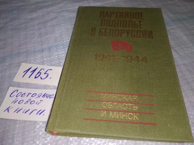 Лот: 19165589. Фото: 1. Партийное подполье в Белоруссии... История