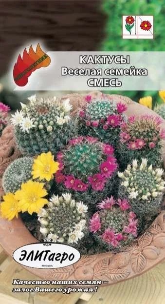 Лот: 11025159. Фото: 1. Кактусы Веселая Семейка смесь... Садовые цветы