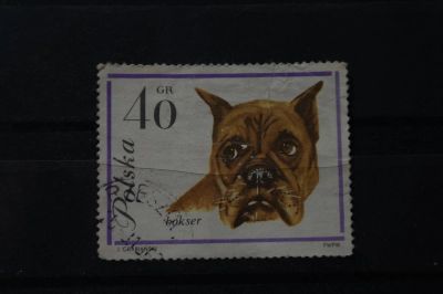 Лот: 3932575. Фото: 1. марка 56 Польша фауна собаки. Марки