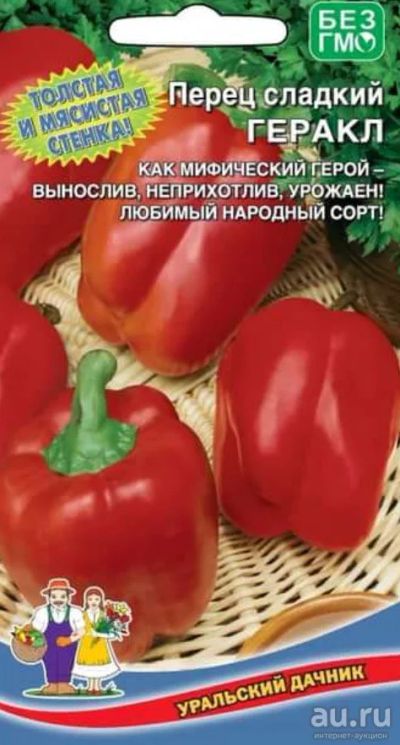 Лот: 13387505. Фото: 1. Рассада перца Геракл, Толстый... Овощи