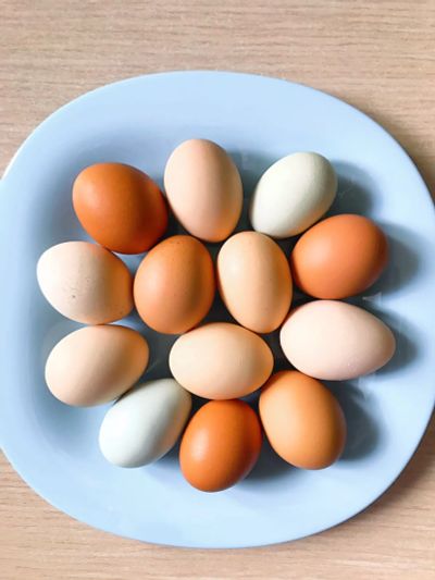 Лот: 20550157. Фото: 1. Яйцо домашних кур. Мясо, птица, яйцо