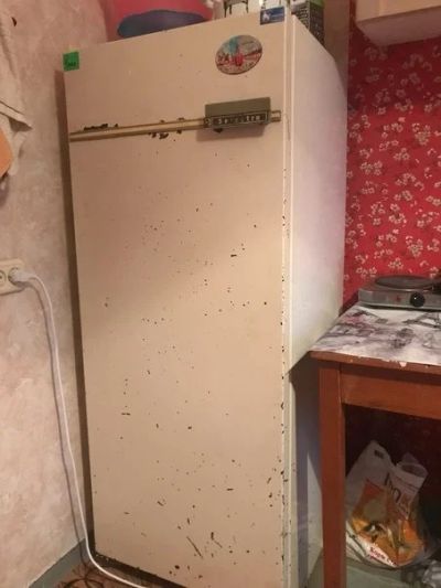 Лот: 16054022. Фото: 1. Холодильник. Холодильники, морозильные камеры