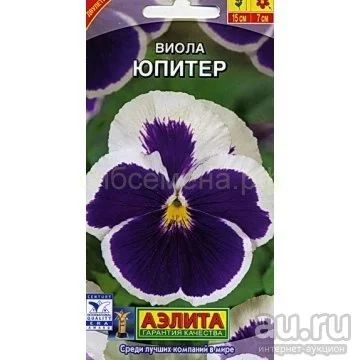 Лот: 9720681. Фото: 1. Виола Юпитер Рассада. Садовые цветы