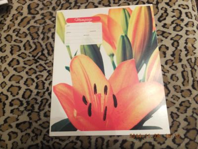 Лот: 4819252. Фото: 1. Тетрадь 24 л. клетка,034. Другое (учёба (школа, вуз))