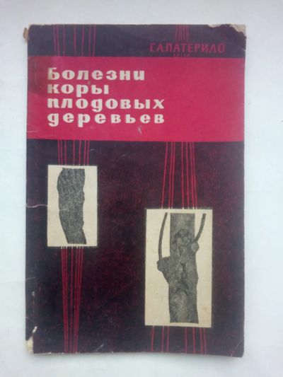 Лот: 21373733. Фото: 1. Патерило Г.А. Болезни коры плодовых... Сад, огород, цветы