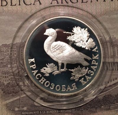 Лот: 10868482. Фото: 1. Красная книга. Краснозобая казарка... Россия после 1991 года