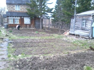 Лот: 3229799. Фото: 1. продам дачу на пл.Крючково. Дачи