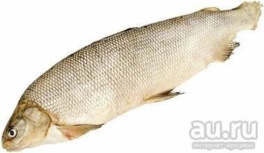 Лот: 7997717. Фото: 1. Чир (Северная Рыба). Икра, рыба, морепродукты