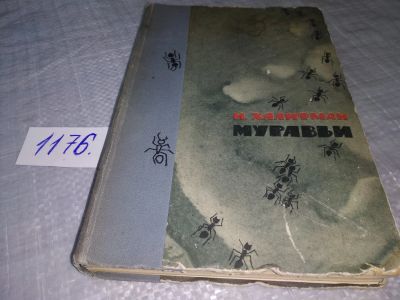 Лот: 19132488. Фото: 1. Oz. Халифман И. Муравьи. Фотографии... Биологические науки