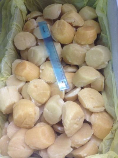 Лот: 10425784. Фото: 1. филе гребешка Курильский 80-100. Икра, рыба, морепродукты