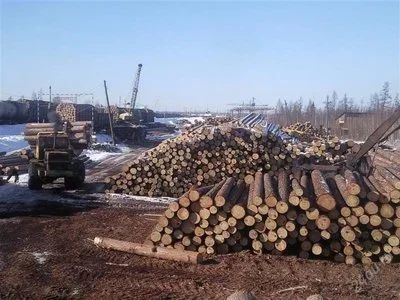 Лот: 1013980. Фото: 1. ЖД тупик ст.Карабула. Коммерческая недвижимость