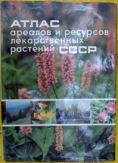 Лот: 23431257. Фото: 1. Атлас ареалов и ресурсов лекарственных... Карты и путеводители