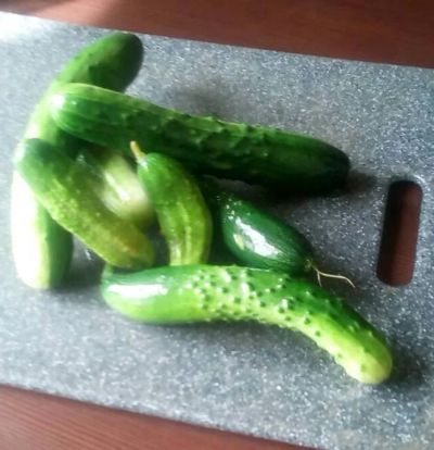 Лот: 11937721. Фото: 1. Свежие огурцы. Домашние заготовки