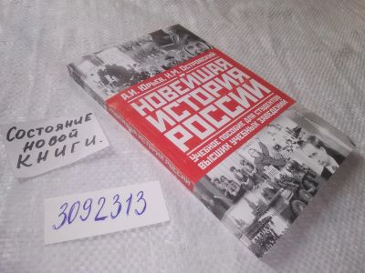 Лот: 23511771. Фото: 1. (3092313)Новейшая история России... Для вузов