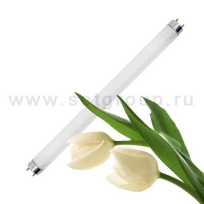 Лот: 3163253. Фото: 1. Люминесцентная лампа для растений... Оборудование