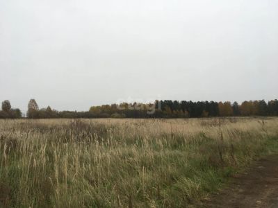 Лот: 25292630. Фото: 1. участок , Сосновоборск Сосновоборск... Земельные участки