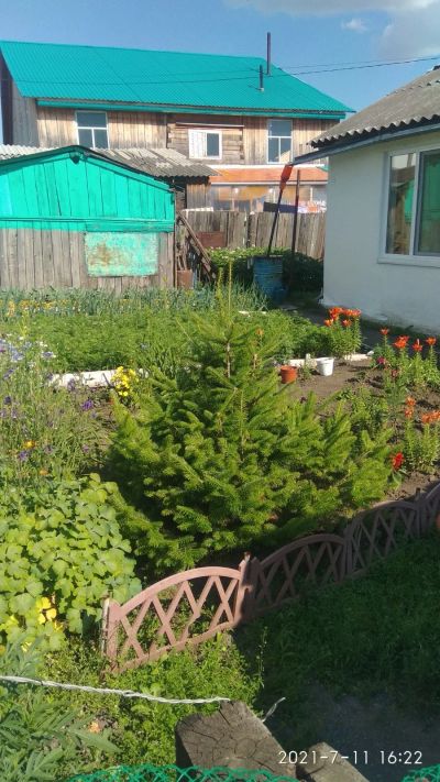 Лот: 17021587. Фото: 1. Дом в г.Назарово 60 кв.м. 7 соток... Дома