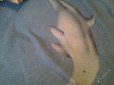 Лот: 2875199. Фото: 1. одеяло. Одеяла, подушки