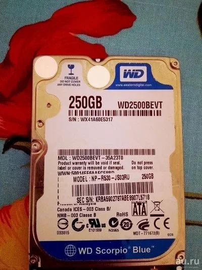 Лот: 13478334. Фото: 1. Жесткий диск 250 Гб WD. Жёсткие диски (HDD)