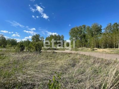 Лот: 25297285. Фото: 1. участок , садовые участки Штаны... Земельные участки