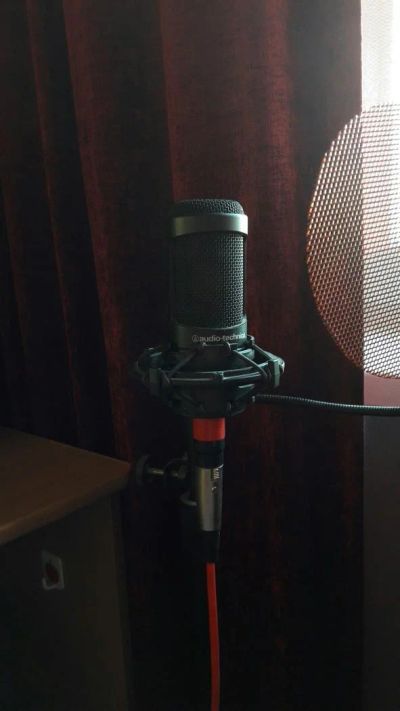 Лот: 8265636. Фото: 1. Audio-Technica AT2035 студийный... Студийные микрофоны, радиомикрофоны и радиосистемы
