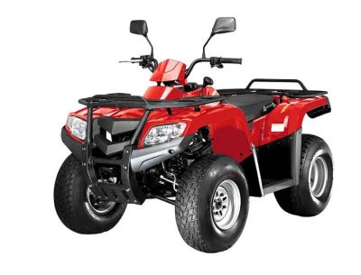 Лот: 25363243. Фото: 1. Квадроцикл ARMADA ATV 200L. Снегоходы, квадроциклы