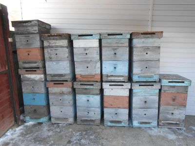 Лот: 7003089. Фото: 1. Ульи (домики для пчел). Пчеловодство