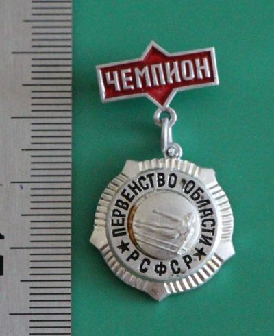 Лот: 11739510. Фото: 1. Значок: Чемпион. Первенство области... Сувенирные