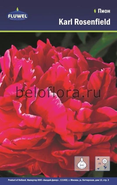 Лот: 15768894. Фото: 1. Пион Karl Rosenfield, цена за... Садовые цветы