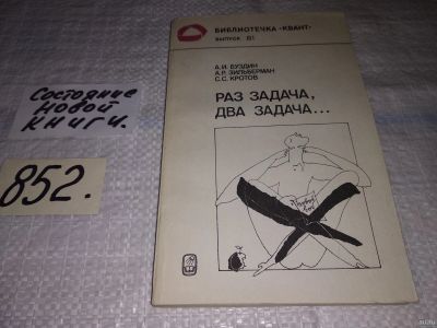 Лот: 13390597. Фото: 1. Будзин А.И., Зильберман А.Р... Физико-математические науки