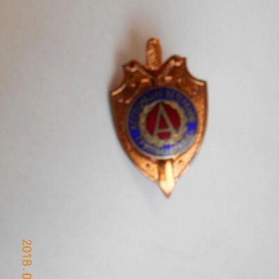 Лот: 11185433. Фото: 1. знак россия ассоциация ветеранов... Памятные медали