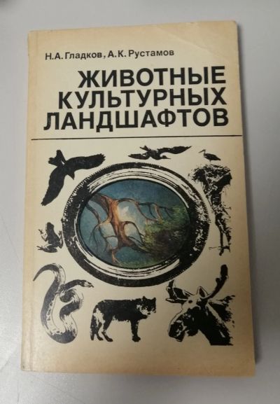 Лот: 19257844. Фото: 1. Н.А.Гладков, А.К.Рустамов "Животные... Другое (справочная литература)