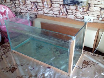Лот: 9280673. Фото: 1. аквариум + коряга + камни с водрослью... Аквариумы, террариумы