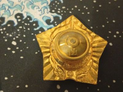 Лот: 25890156. Фото: 1. Знак отличник возжушного транспорта. Другое (монеты)