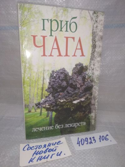 Лот: 25797899. Фото: 1. озю..вбю..(40923106) Гриб чага... Популярная и народная медицина