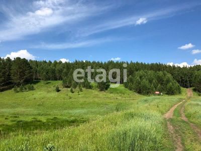 Лот: 25287513. Фото: 1. участок , деревня Раскаты деревня... Земельные участки