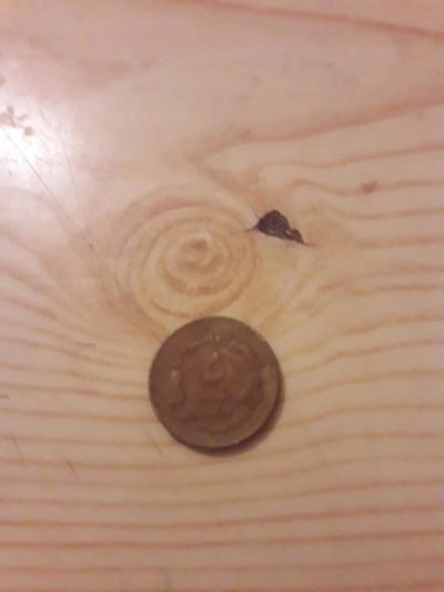 Лот: 10833086. Фото: 1. Монета 5 Динар Судан. Другое (монеты)