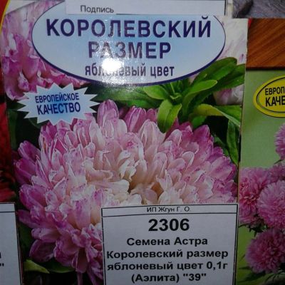 Лот: 9112345. Фото: 1. Семена / Астра / Королевский размер... Садовые цветы