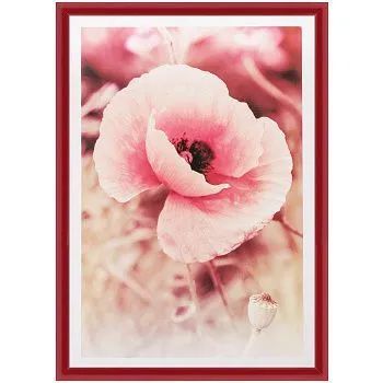 Лот: 22148961. Фото: 1. ф/рамка Pioneer(8546)poster red... Фоторамки, фотоальбомы