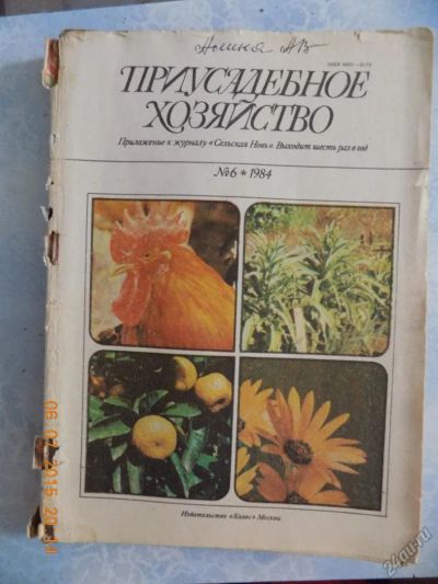 Лот: 5762399. Фото: 1. приусадебное хозяйство 1984-6. Быт и семья