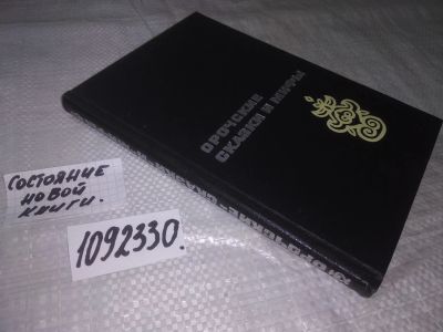 Лот: 21038941. Фото: 1. oz меш. (1092330) Орочские сказки... Художественная