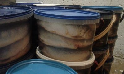 Лот: 8269190. Фото: 1. сельдь олюторская 1 сорт 500+. Икра, рыба, морепродукты