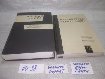 Лот: 25550584. Фото: 1. оз..вбр..(00-38) Черная книга... История