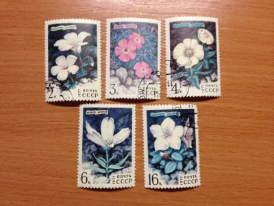 Лот: 5120196. Фото: 1. 1977 Цветы гор Сибири (4642-4646... Марки
