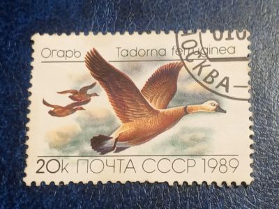 Лот: 25635705. Фото: 1. - Марки для Вашей коллекции. лот... Марки